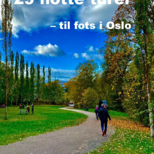 E-BOK: 29 flotte turer – til fots i Oslo